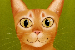 1_Kocicka-Ocicat