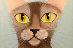 1_Kocourek-Lykoi