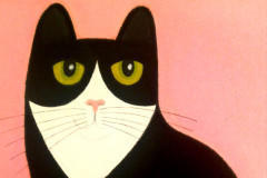 1_Kocourek-Tom