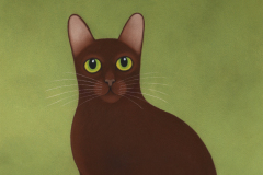 Havana-Brown-Cat
