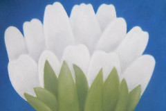 1_Bile-tulipany-s-ovocem