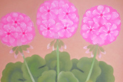 1_Pelargonie